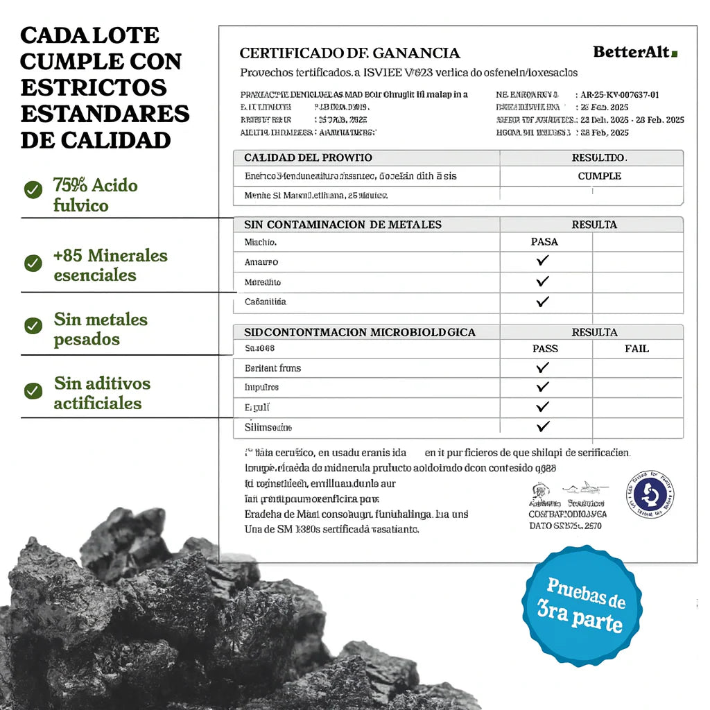 GOLD+ Palitos de Miel con Shilajit