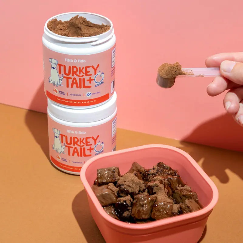 TurkeyTail+ Probiotics™ Formula