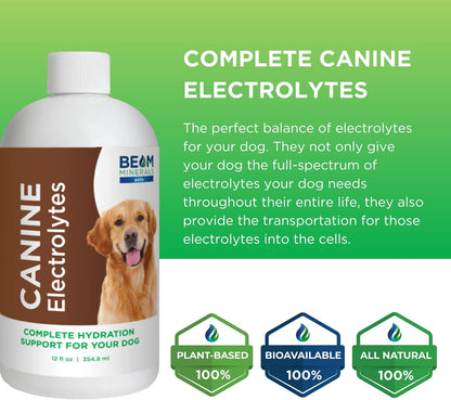 Complete Canine Electrolytes | Full-Spectrum Electrolytes for Dogs