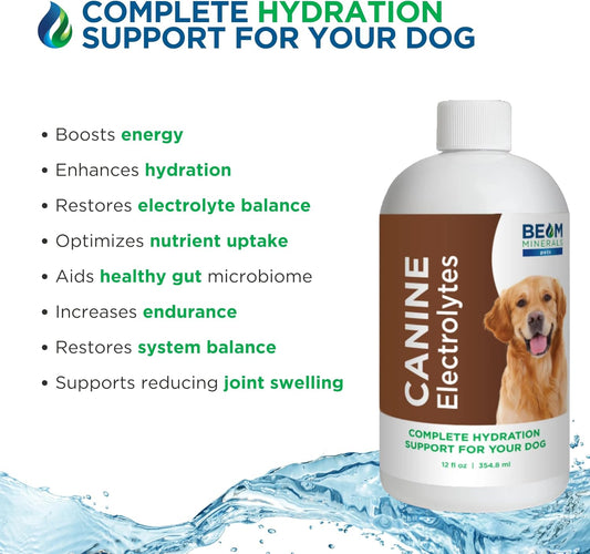 Complete Canine Electrolytes | Full-Spectrum Electrolytes for Dogs