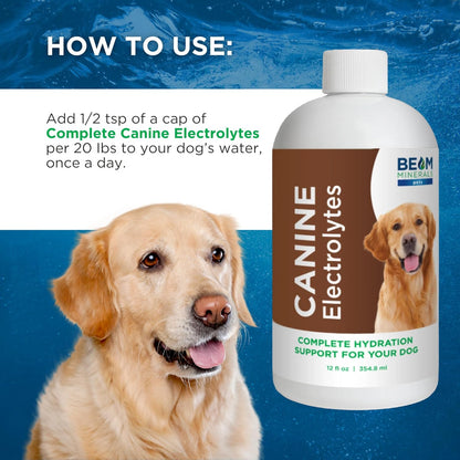 Complete Canine Electrolytes | Full-Spectrum Electrolytes for Dogs