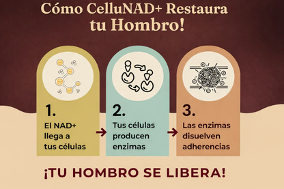 De hombro congelado a movilidad total