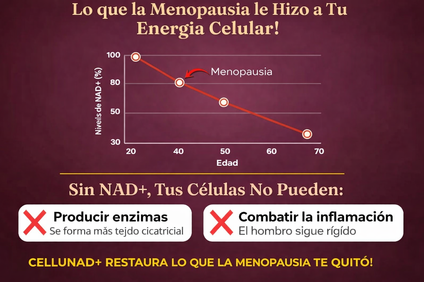 De hombro congelado a movilidad total