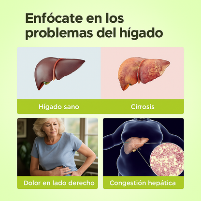 Limpiador Hígado y Vesícula, Boldo & Milk Thistle Extract