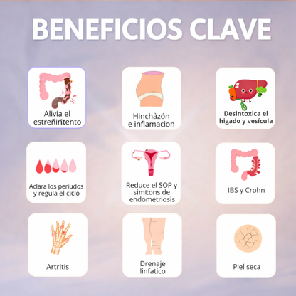 Paquete Premium para el Bienestar del Hígado